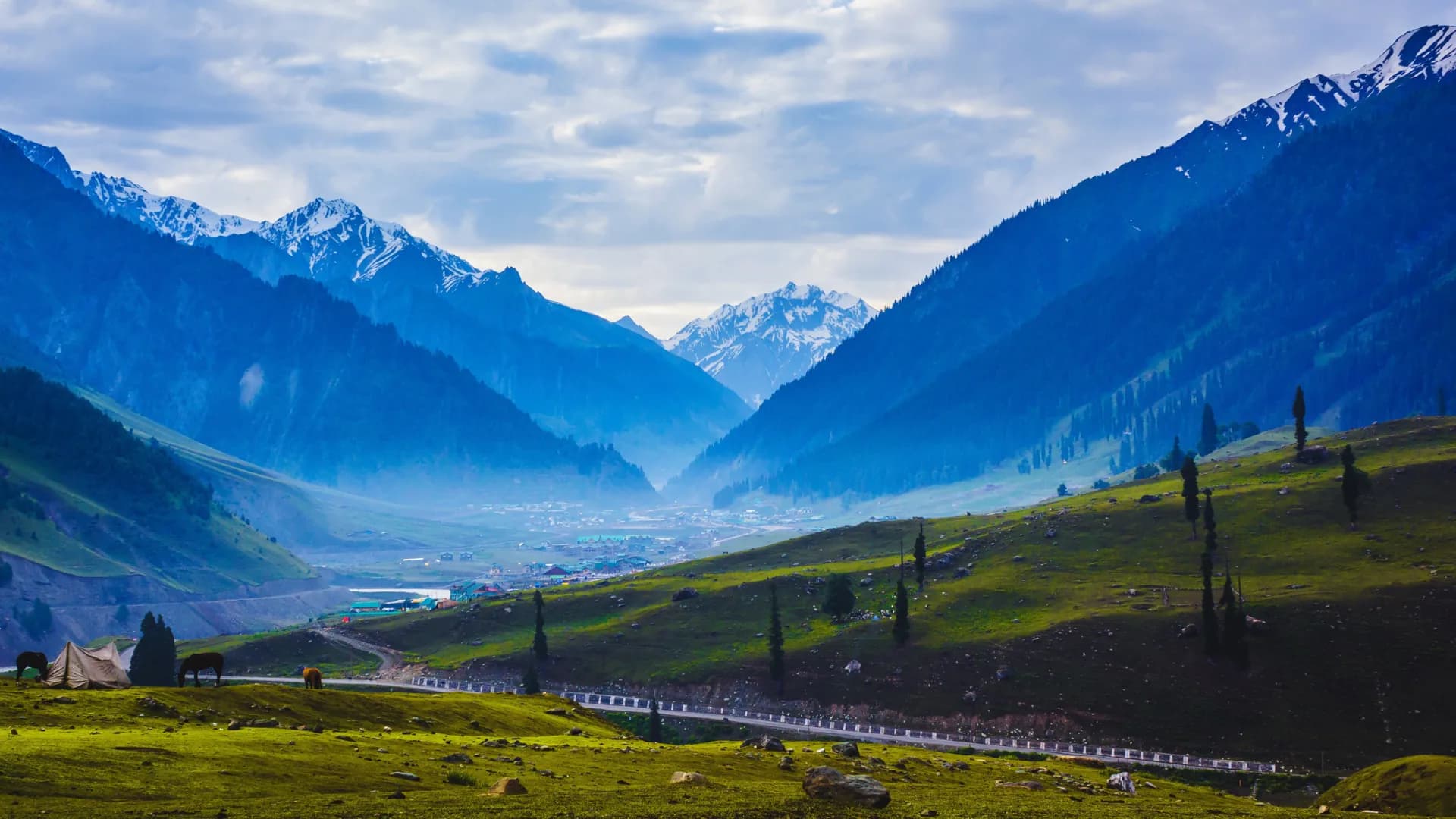 Kashmir is Calling