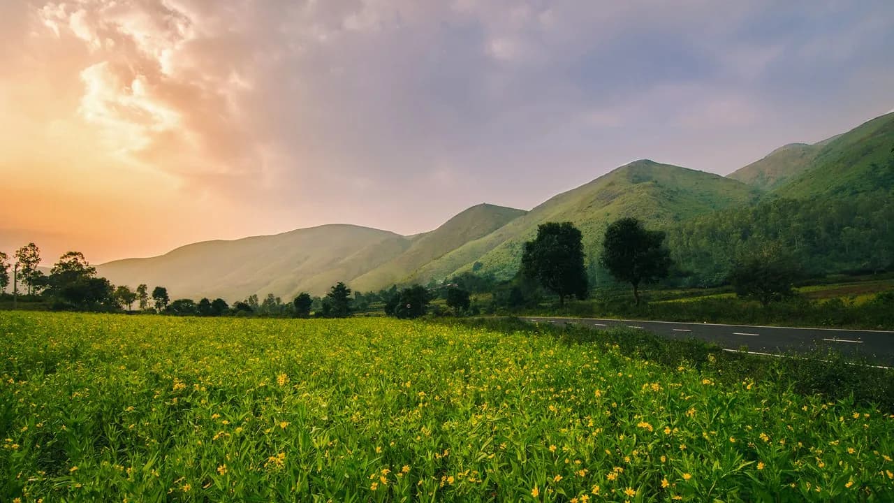 Koraput